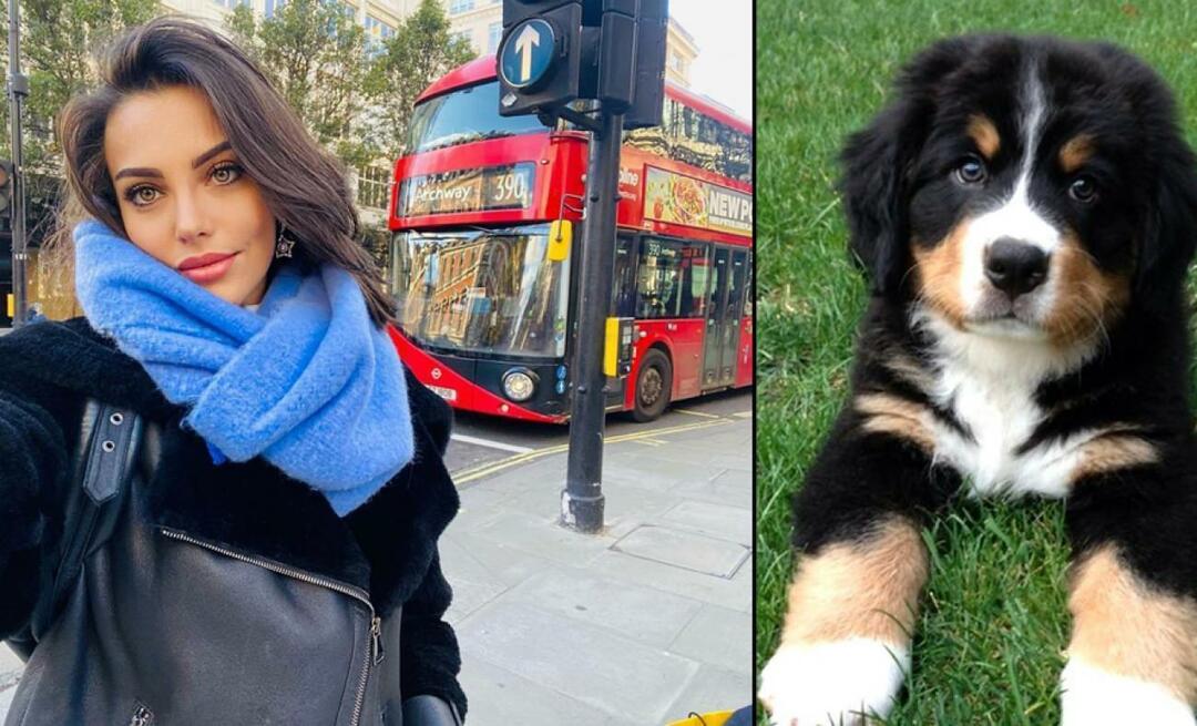 L'actrice Tuvana Türkay a donné sa vie pour son chien !