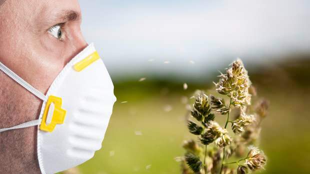 L'allergie printanière est causée par le pollen, les animaux domestiques, l'augmentation de la température et la poussière