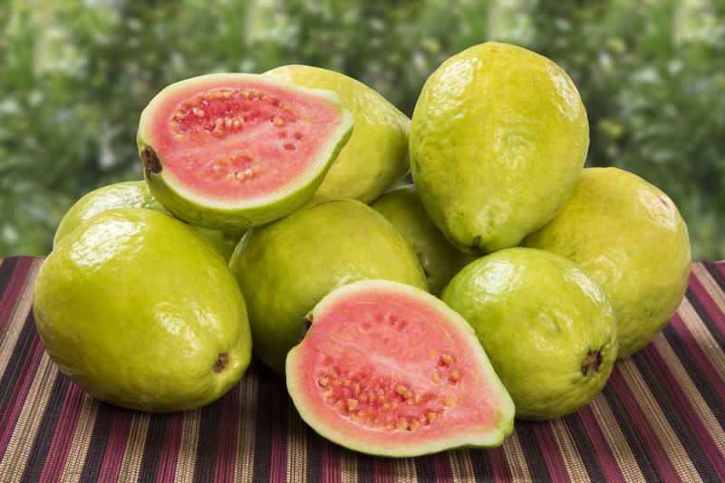 le fruit de la guavane passe pour la fraise 
