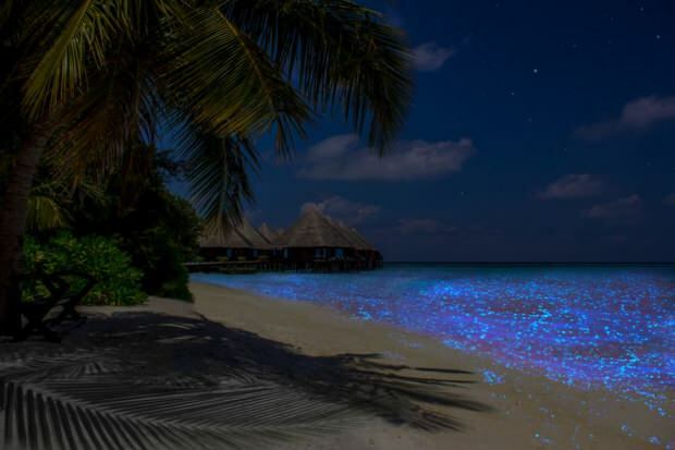 Maldives Vaadhoo Island