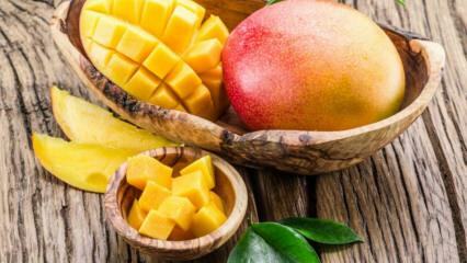 Quels sont les avantages de la mangue? À quelles maladies les mangues sont-elles bonnes? Que se passe-t-il si vous consommez des mangues régulières?