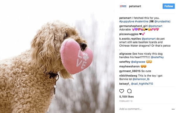 Lorsque PetSmart partage les photos des utilisateurs sur Instagram, ils attribuent un crédit photo à l'affiche originale dans la légende.