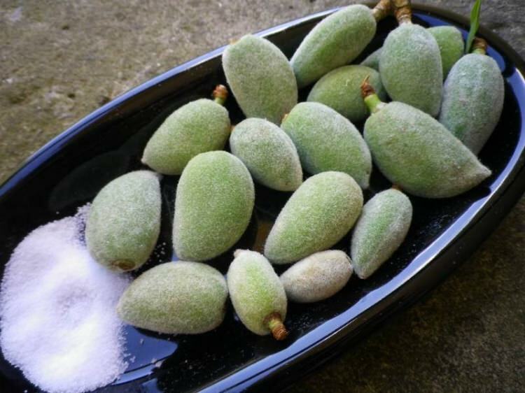 Source probiotique naturelle: quels sont les bienfaits du fruit de Cagla? Comment çağla est consommé?