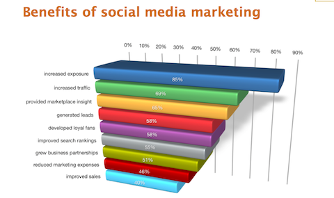 Rapport de l'industrie du marketing des médias sociaux 2012
