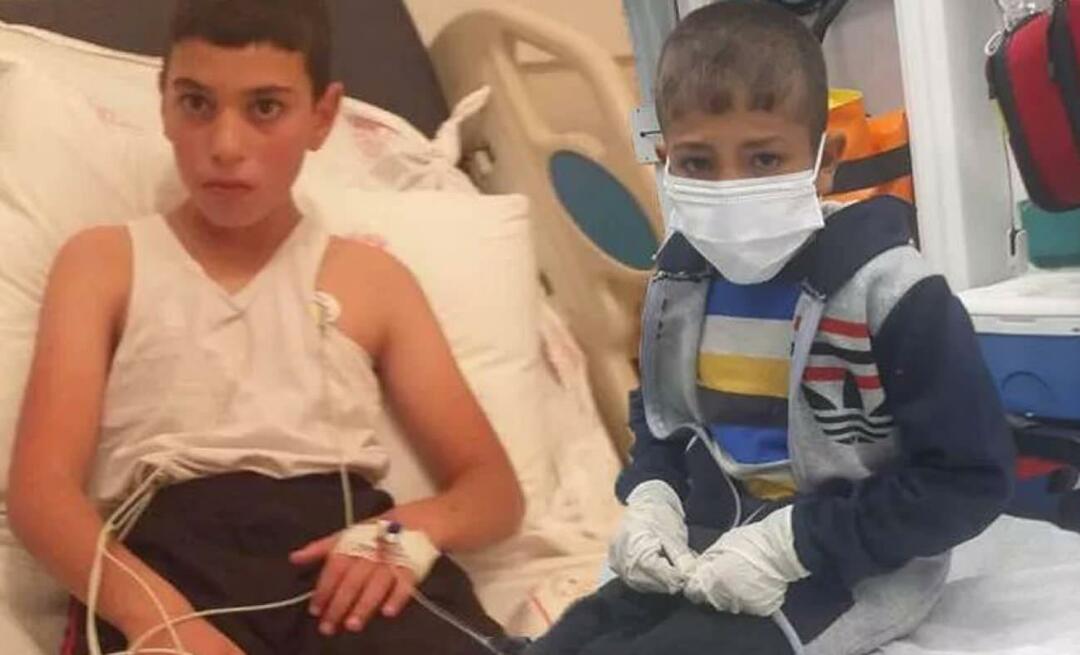 L'enfant atteint de rage est en soins intensifs! Bahadır Yenişehirlioğlu fustigé