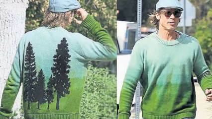 Le pull en pin conçu par l'actrice Brad Pitt, actrice oscarisée, était glamour!