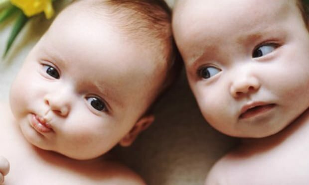S'il y a des jumeaux dans la famille, les chances de grossesse gémellaire vont-elles augmenter? Chevaux de génération?