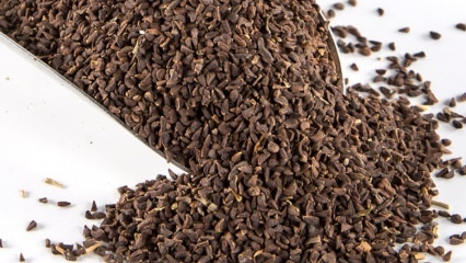 Quels sont les avantages de la semence Uzerlik? Comment reconstituer les graines de thé Üzerlik?