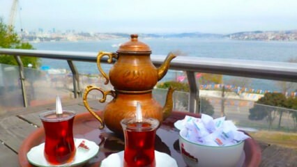 Jardins de thé familiaux du côté européen d'Istanbul