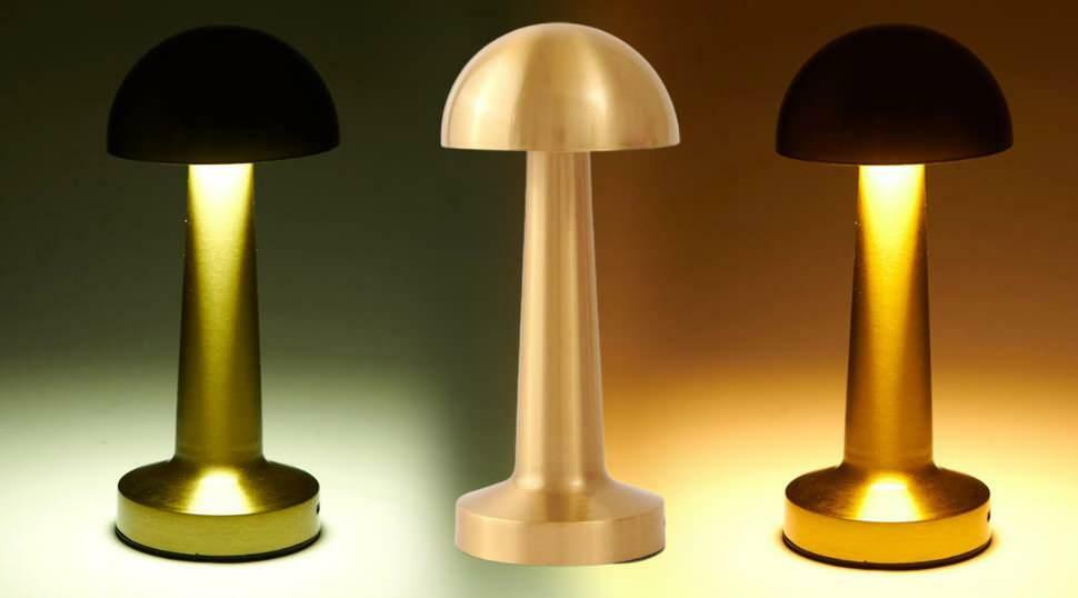 Lampe de table LED rechargeable Forlife FL-8055