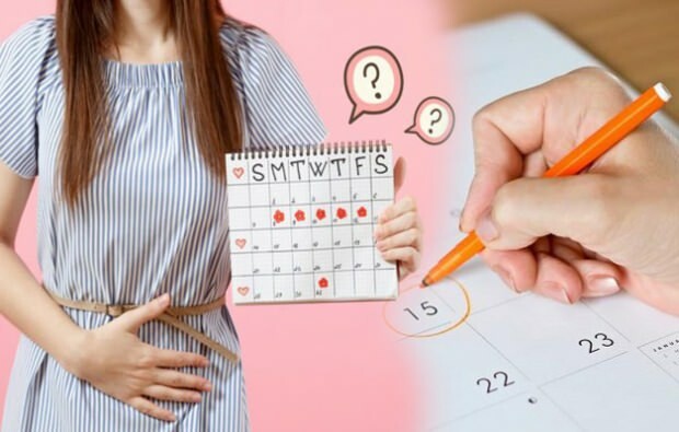 Calendrier de calcul de la période d'ovulation
