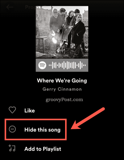 Masquer une chanson sur Spotify
