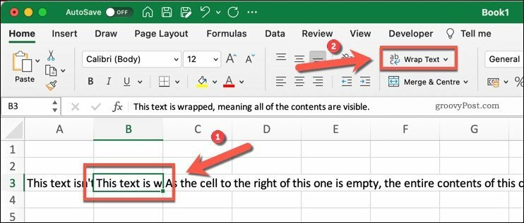 Le bouton Wrap Text dans Microsoft Excel