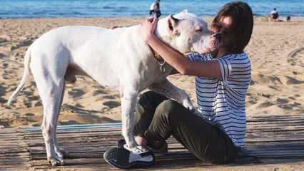 La jeune actrice Alina Boz fait ses adieux à son chien mort! Qui est Alina Boz?