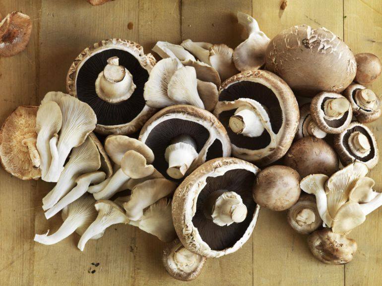 Astuces à savoir lors de la cuisson des champignons