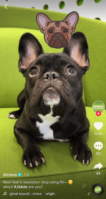 Exemple commercial de TikTok avec un chien