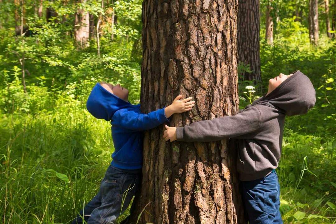 Comment sensibiliser les enfants à la nature