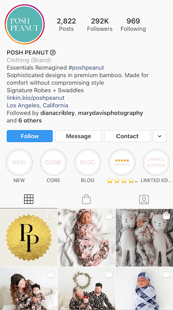 exemple de bio Instagram optimisé pour les entreprises