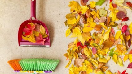 Méthodes pratiques pour le nettoyage d'automne