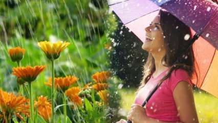 La pluie d'avril guérit-elle? Quelles sont les prières à lire dans l'eau de pluie? Avantages de la pluie d'avril