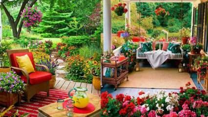 Des fleurs que vous pourrez utiliser dans votre jardin et vos balcons en automne !