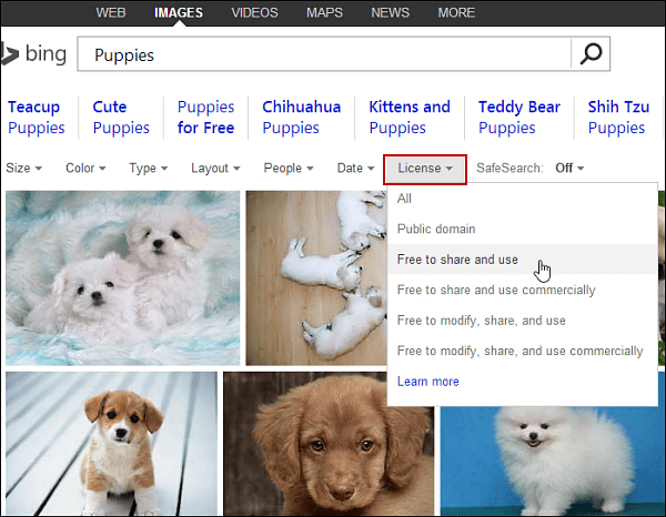 Rechercher des images sur Bing