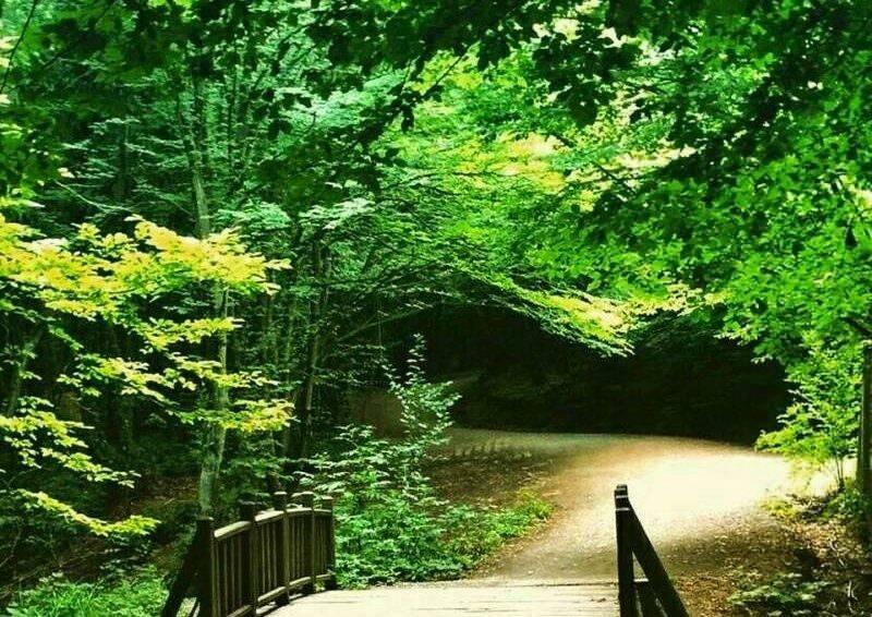 Camping dans le parc naturel de Polonezköy 