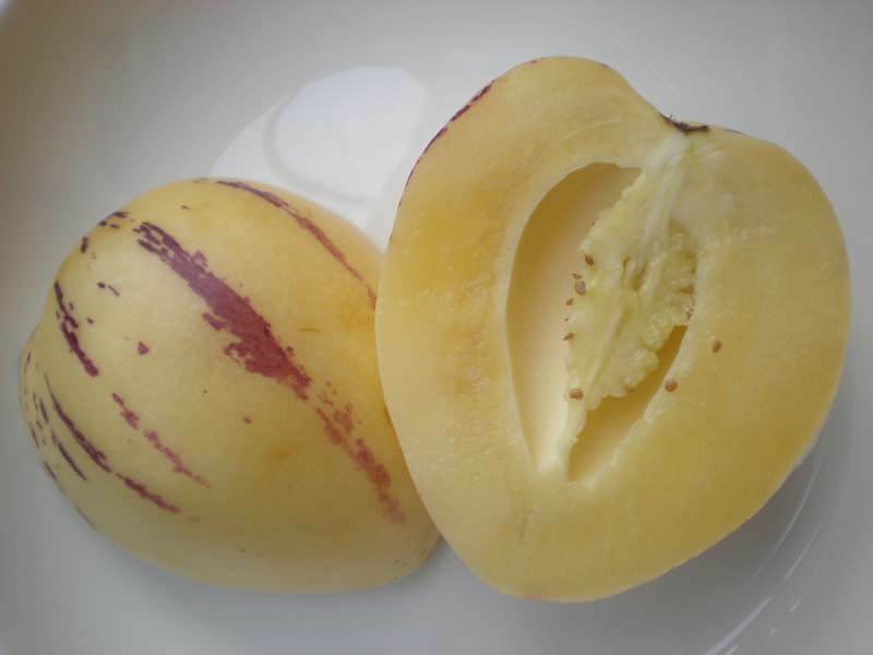 le fruit de pépino est coupé comme un melon comme image