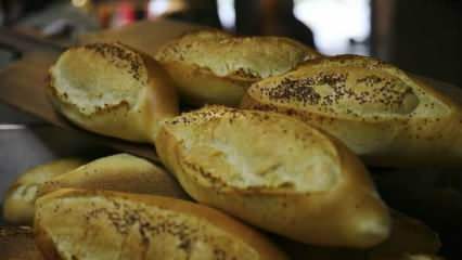 Comment le pain rassis est-il évalué? Recettes à base de pain rassis