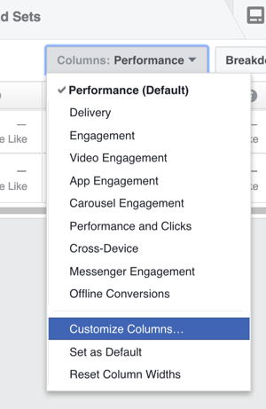 Dans le gestionnaire de publicités, cliquez sur Colonnes et choisissez Personnaliser les colonnes dans la liste déroulante.