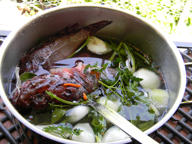 Comment préparer la soupe de poisson scorpion la plus simple? Conseils pour la soupe au scorpion