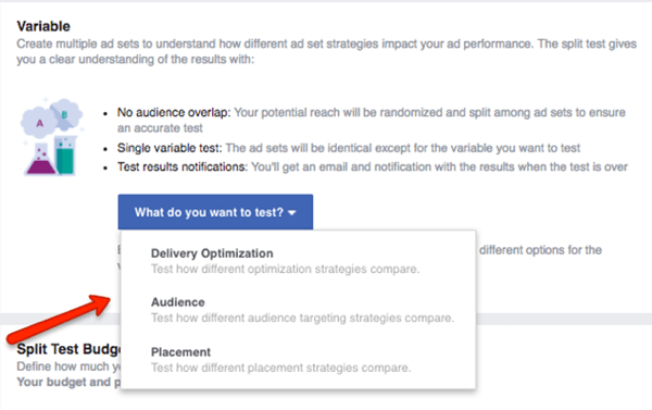 Sélectionnez la variable à tester dans votre campagne Facebook.