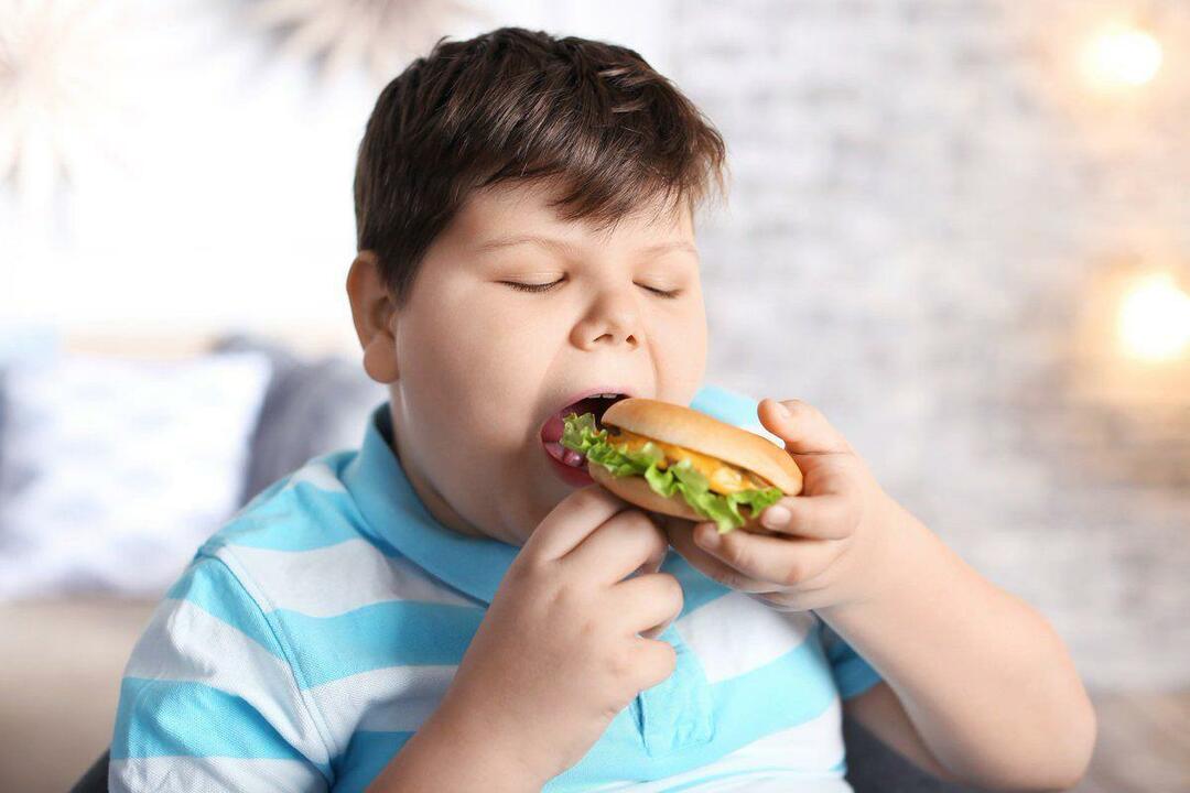Qu'est-ce que l'obésité chez les enfants