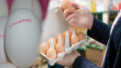 Comment comprend-on l'œuf biologique? Que signifient les codes de l'œuf?