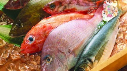 Effets du poisson sur l'immunité! Quels sont les bienfaits du poisson? Comment consommer le poisson le plus sain?