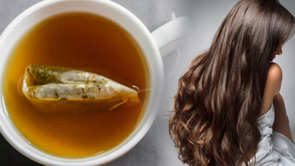 Quels sont les bienfaits du thé vert pour les cheveux? Recette de masque pour la peau au thé vert