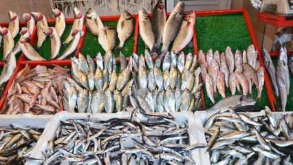 Comment supprimer les poissons toriques? Astuces pour extraire le poisson torique