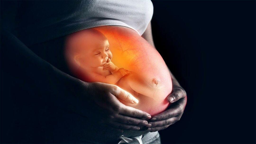 Comment nourrir le bébé dans le ventre de la mère