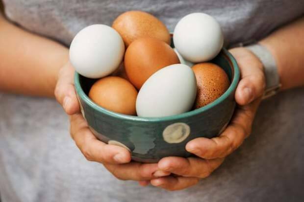 Comment l'analyse biologique des œufs est-elle effectuée?