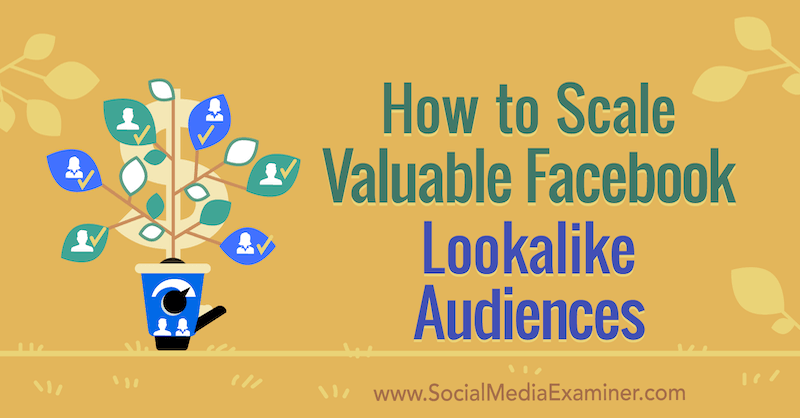 Comment mettre à l'échelle de précieuses audiences similaires à Facebook par Yahav Hartman sur Social Media Examiner.