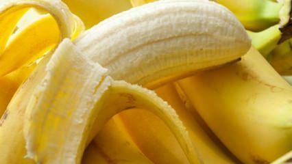 Dommages à la banane
