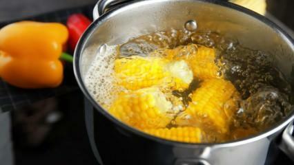 Comment faire le maïs bouilli le plus simple? Méthodes de tri du maïs bouilli