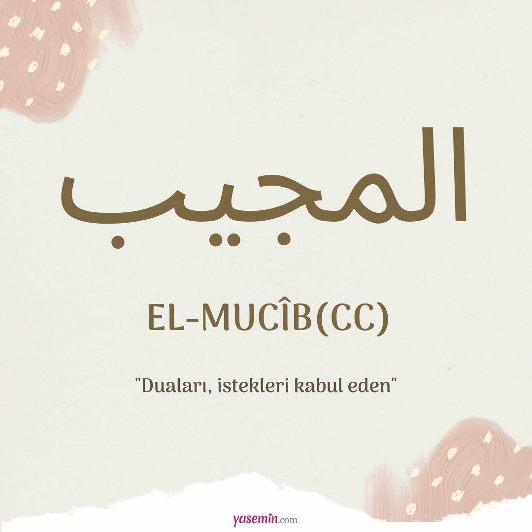 Que signifie al-Mujib (cc) ?