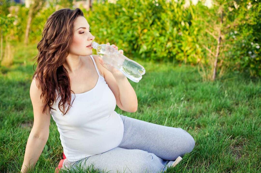 apport hydrique pendant la grossesse