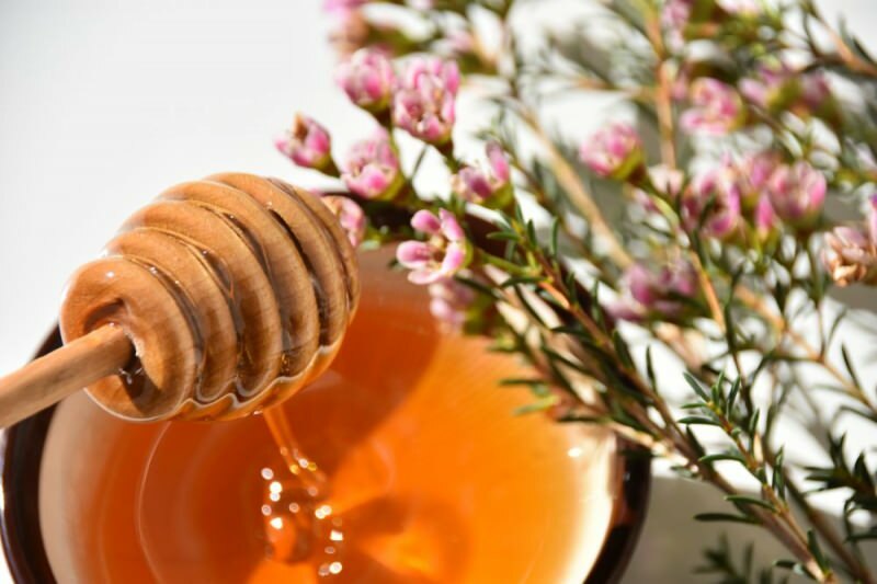 miel de manuka à base de fleur de manuka