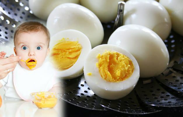 Comment nourrir les jaunes d'oeufs des bébés? Quand le jaune d'oeuf est-il donné aux bébés?