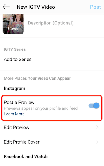 instagram igtv nouvelles options de menu vidéo avec la publication d'une option de prévisualisation activée