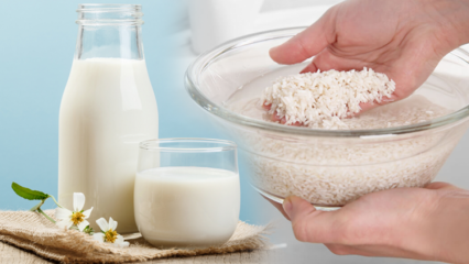 Comment préparer du lait de riz brûlant des graisses? Méthode minceur au lait de riz