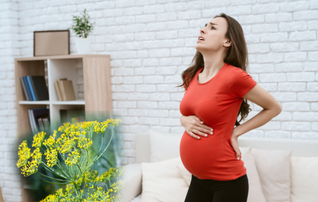 remède naturel pour les lombalgies pendant la grossesse