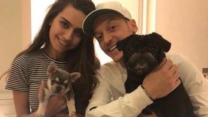 Mesut Özil fête l'anniversaire de sa fiancée Amine Gülşe
